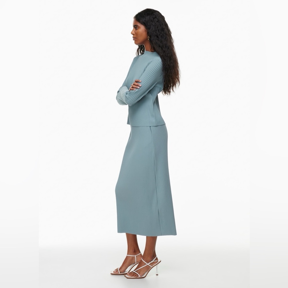 Aritzia Blue Midi Skirt